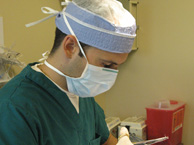 Veterinarian